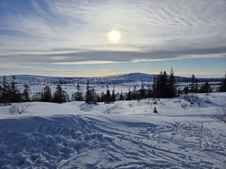 En smak av Sylane i mars 2026